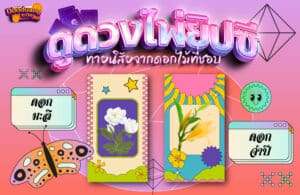 ดูดวงไพ่ยิปซี 20-8-66