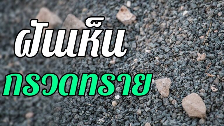 ฝันเห็นกรวดทราย 2023