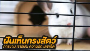ฝันเห็นกรงสัตว์ 2023