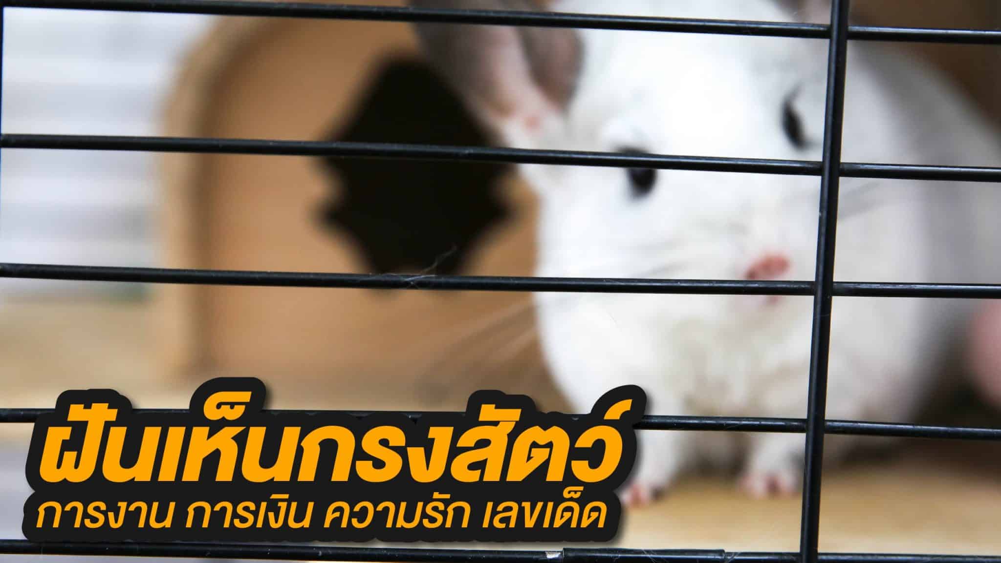 ฝันเห็นกรงสัตว์ 2023