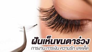 ฝันเห็นขนตา 2567