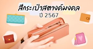 สีกระเป๋าสตางค์ตามวันเกิด 2567