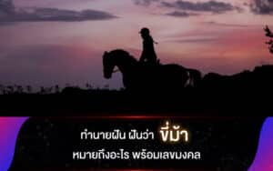 ฝันว่าขี่ม้า 2567