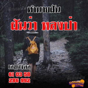 ฝันว่าหลงป่า2024