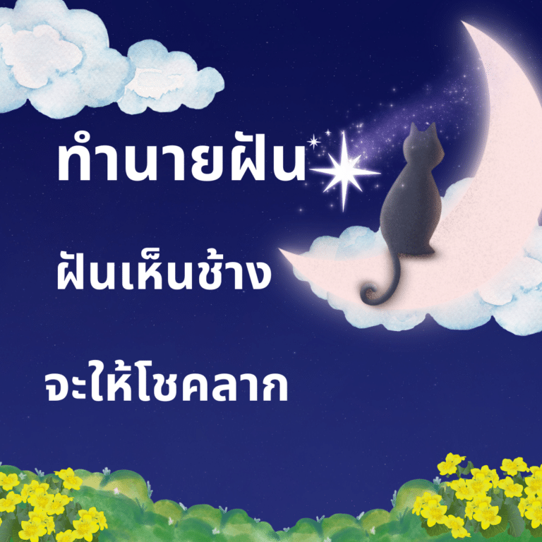 ฝันเห็นช้าง