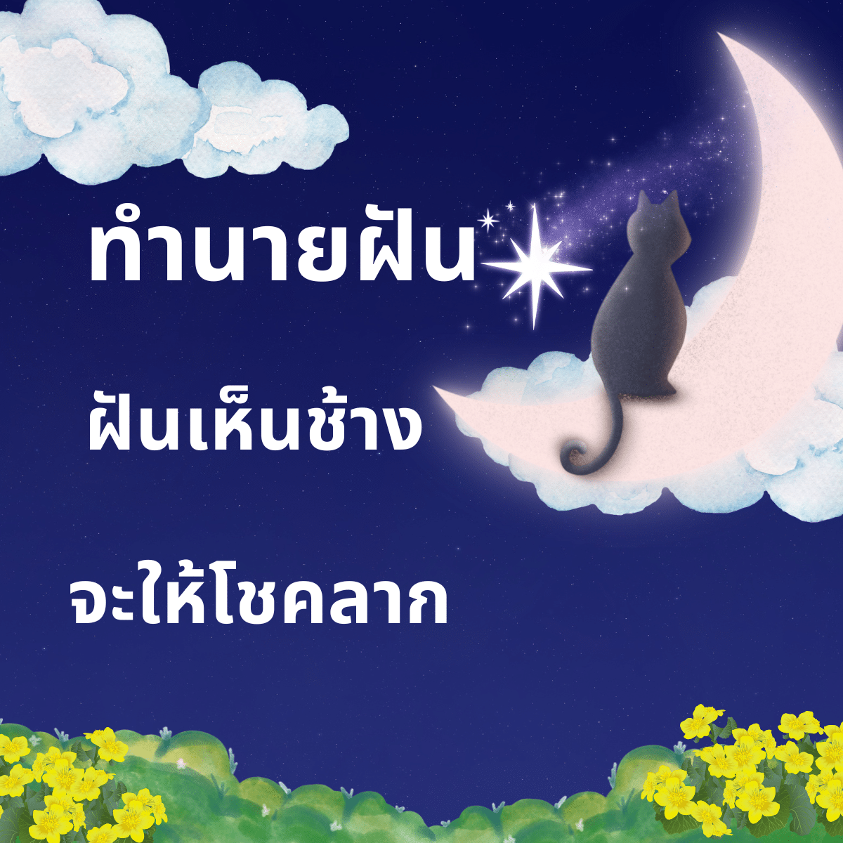 ฝันเห็นช้าง